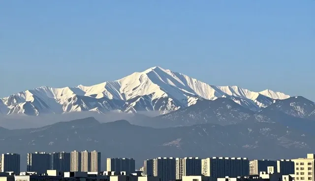 天津皓瑞驰商贸有限公司